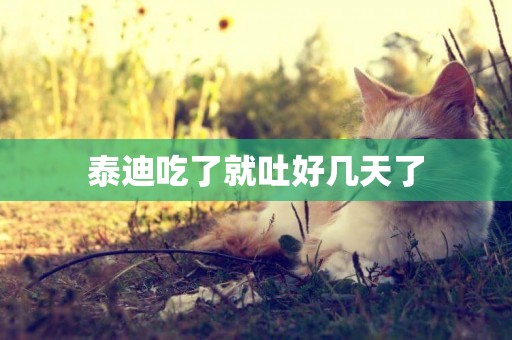 泰迪吃了就吐好幾天了