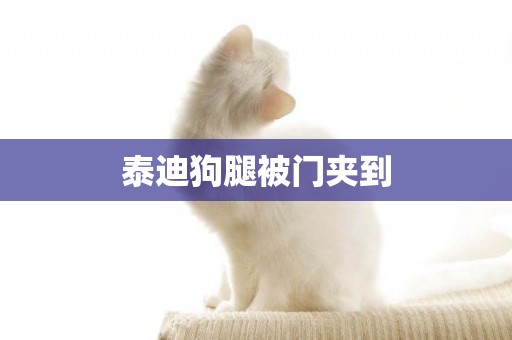 泰迪狗腿被門夾到