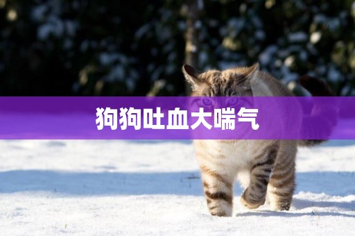 狗狗吐血大喘氣