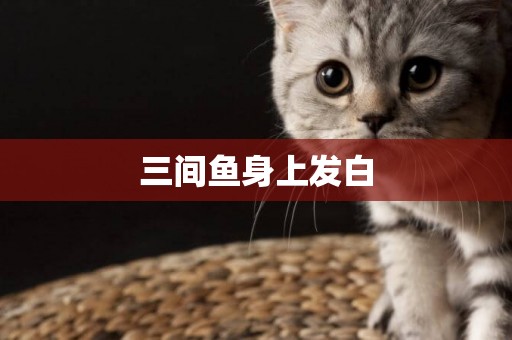 三間魚身上發白