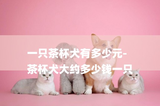 一只茶杯犬有多少元-
茶杯犬大約多少錢一只