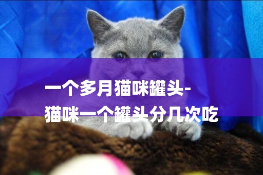 一個多月貓咪罐頭-
貓咪一個罐頭分幾次吃