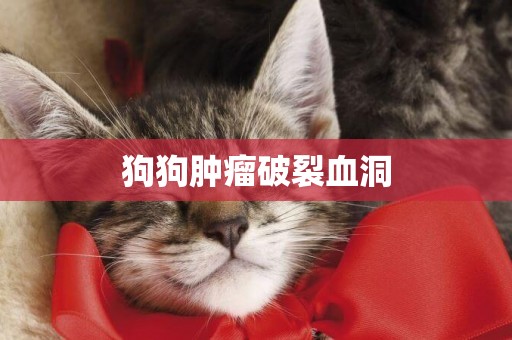 狗狗腫瘤破裂血洞