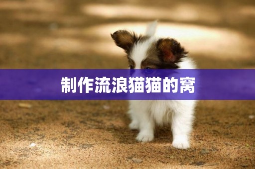 制作流浪貓貓的窩