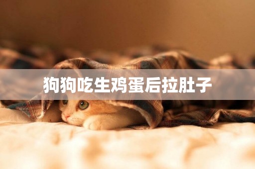 狗狗吃生雞蛋后拉肚子