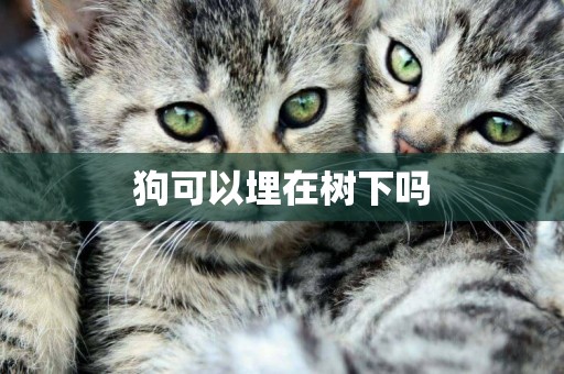 狗可以埋在樹下嗎
