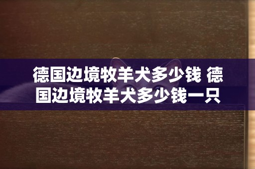德國邊境牧羊犬多少錢 德國邊境牧羊犬多少錢一只