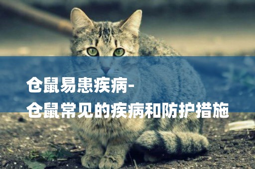 倉鼠易患疾病-
倉鼠常見的疾病和防護措施