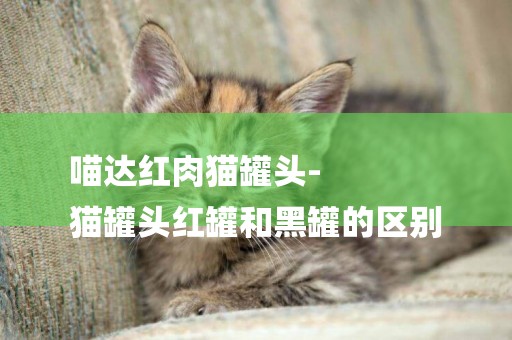 喵達紅肉貓罐頭-
貓罐頭紅罐和黑罐的區別