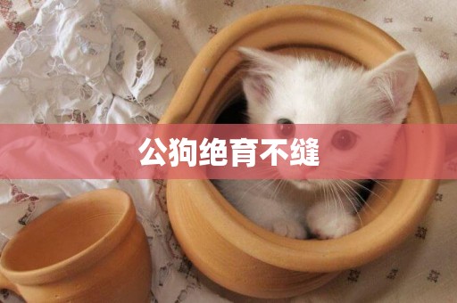 公狗絕育不縫