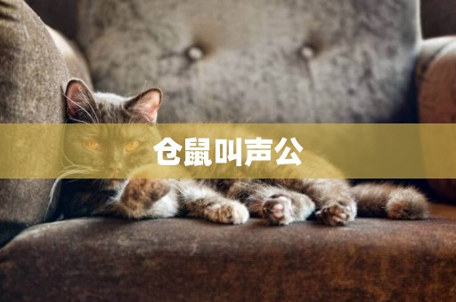 倉鼠叫聲公