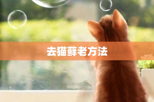 去貓蘚老方法