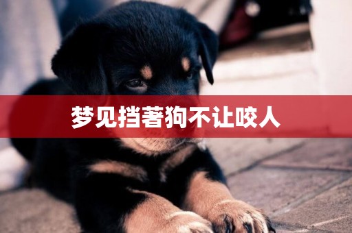 夢見擋著狗不讓咬人