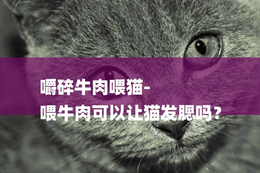 嚼碎牛肉喂貓-
喂牛肉可以讓貓發腮嗎？