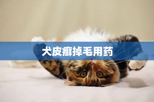 犬皮癬掉毛用藥