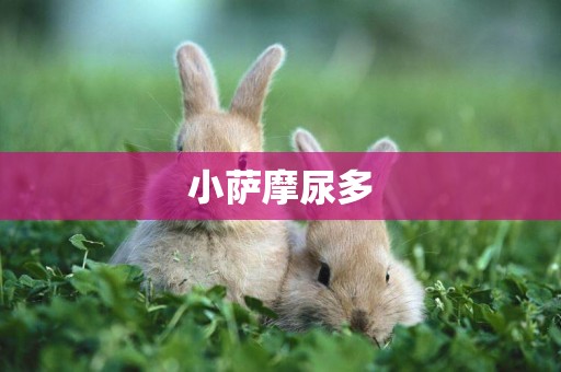 小薩摩尿多