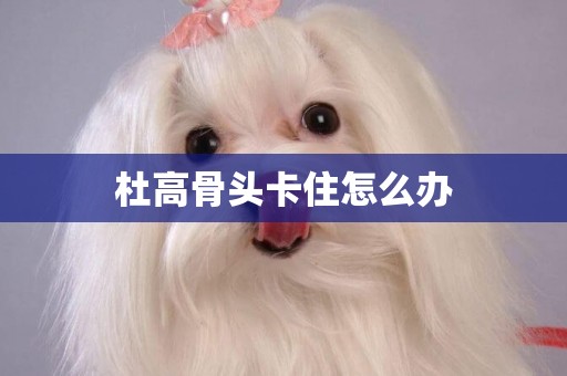 杜高骨頭卡住怎么辦