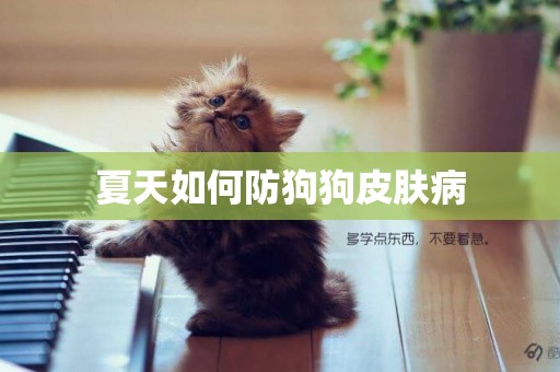 夏天如何防狗狗皮膚病