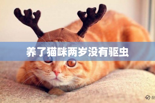養了貓咪兩歲沒有驅蟲