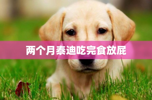兩個月泰迪吃完食放屁