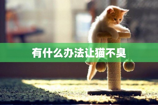 有什么辦法讓貓不臭