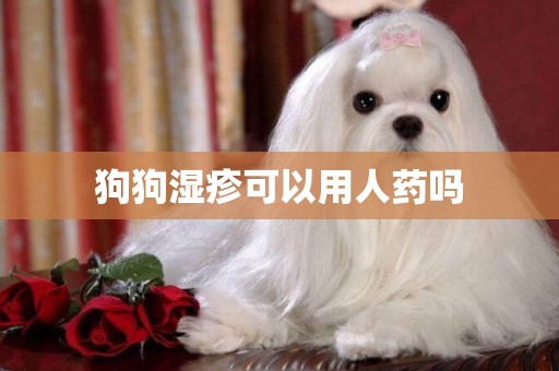 狗狗濕疹可以用人藥嗎