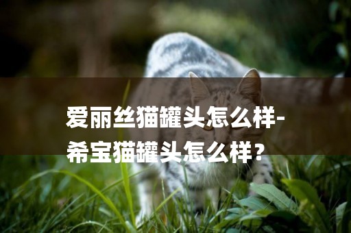 愛麗絲貓罐頭怎么樣-
希寶貓罐頭怎么樣？