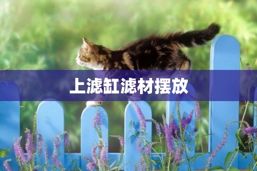 上濾缸濾材擺放