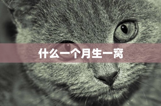 什么一個月生一窩