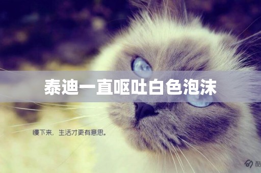 泰迪一直嘔吐白色泡沫