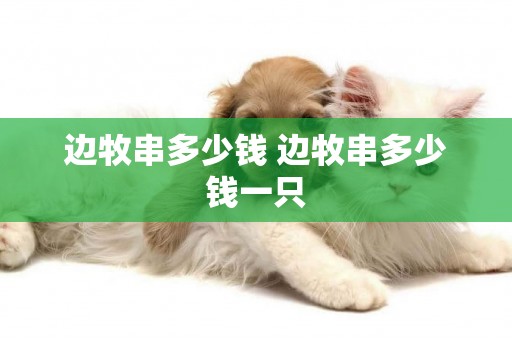 邊牧串多少錢 邊牧串多少錢一只
