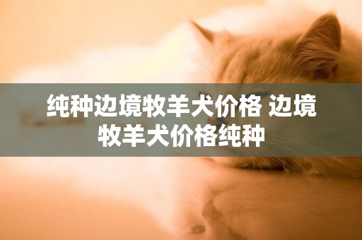 純種邊境牧羊犬價格 邊境牧羊犬價格純種