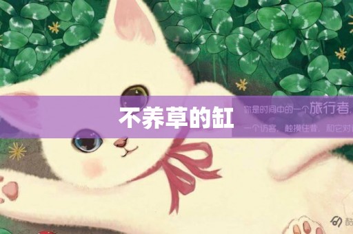 不養草的缸