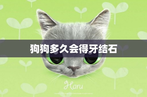 狗狗多久會得牙結石