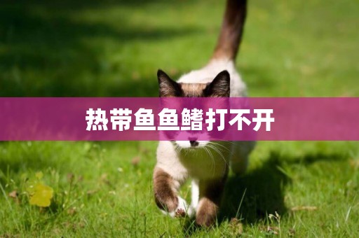 熱帶魚魚鰭打不開
