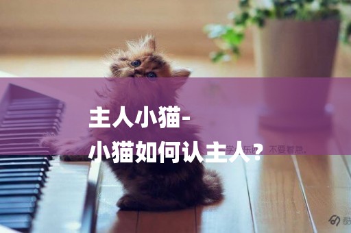 主人小貓-
小貓如何認主人？