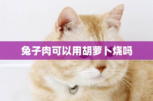 兔子肉可以用胡蘿卜燒嗎