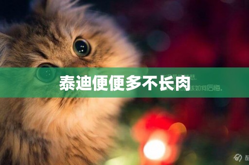 泰迪便便多不長肉