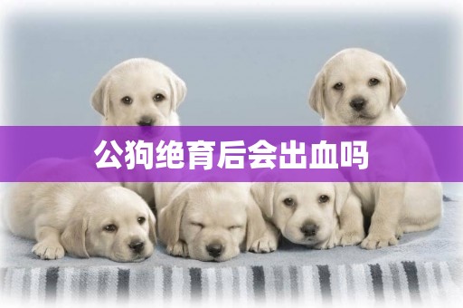 公狗絕育后會出血嗎