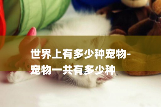 世界上有多少種寵物-
寵物一共有多少種