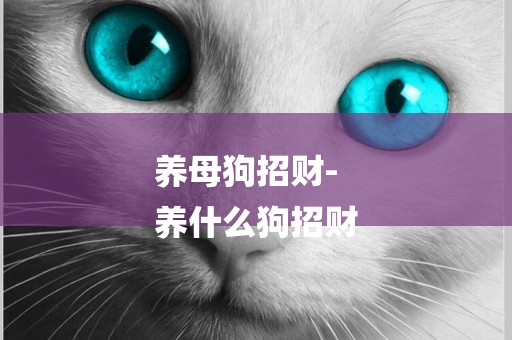 養母狗招財-
養什么狗招財