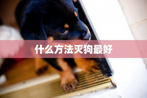 什么方法滅狗最好