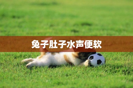 兔子肚子水聲便軟