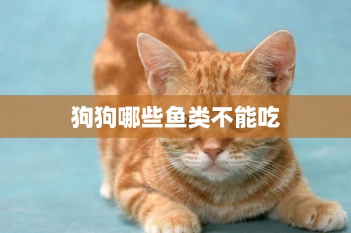 狗狗哪些魚類不能吃
