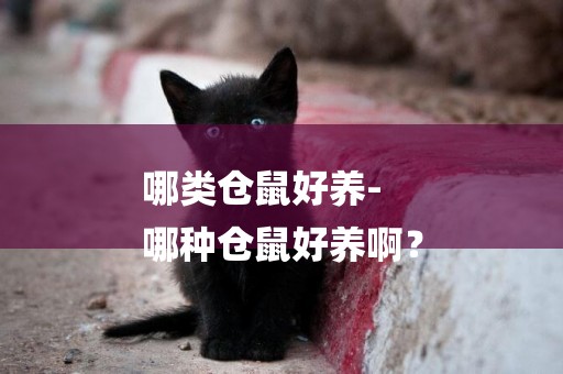 哪類倉鼠好養-
哪種倉鼠好養啊？