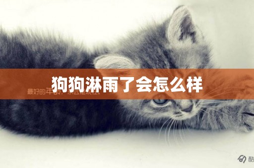 狗狗淋雨了會怎么樣