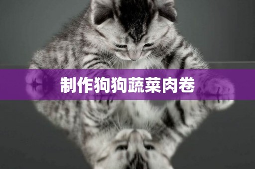 制作狗狗蔬菜肉卷
