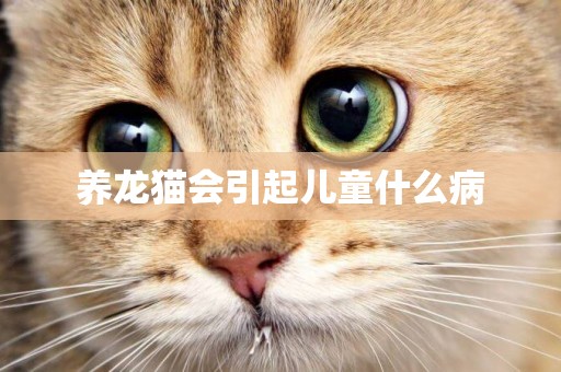 養龍貓會引起兒童什么病