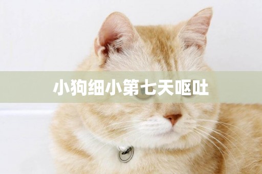 小狗細小第七天嘔吐