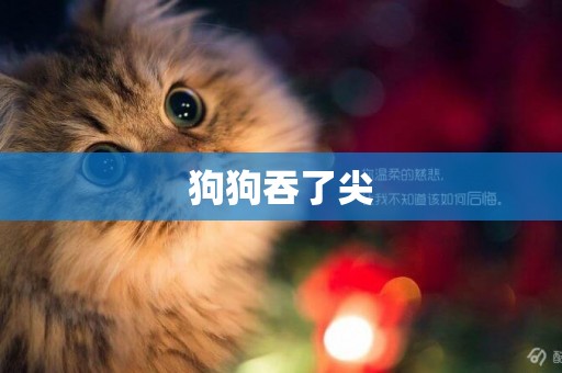 狗狗吞了尖